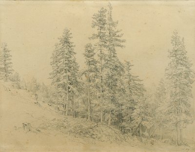 Arvokas hammas tekijältä Joseph Martin Höger