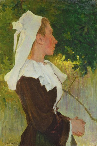 Haaveilua tekijältä Joseph Milner Kite