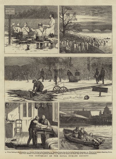 Royal Humane Societyn satavuotisjuhla tekijältä Joseph Nash