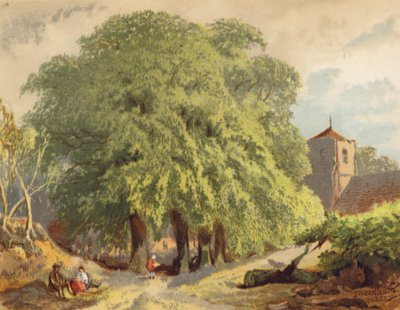 Kylänäkymä, limetsiä (värilitro) tekijältä Joseph Needham