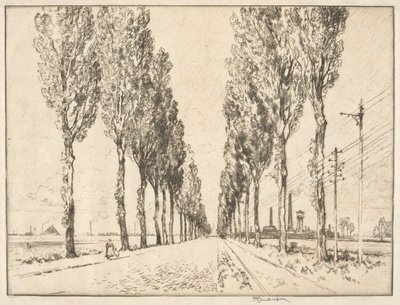 Avenue lähellä Valenciennesia tekijältä Joseph Pennell