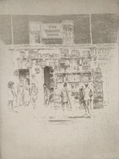 Yorkshirenterrieri, 1903. tekijältä Joseph Pennell
