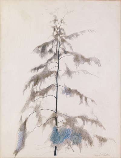 Mänty tekijältä Joseph Stella