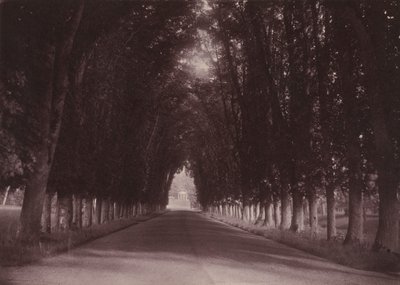 Pihatie, Château de Grand-Vaux, Savigny-sur-Orge, Vigierin perheen koti, noin 1855 (kuva). tekijältä Joseph Vigier