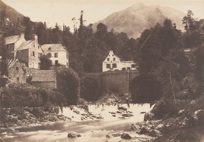 Cedar Village, Gavarnie Road, 1853. tekijältä Joseph Vigier