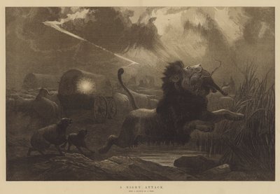 Yöhyökkäys tekijältä Joseph Wolf
