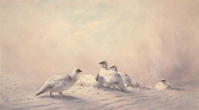 Huonekalut ja erilaiset esineet 1100- ja 1300-luvuilta tekijältä Joseph Wolf