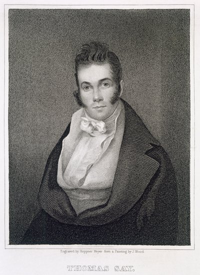 Thomas Say (1787-1834), kaiverrus Henry Hoppner Meyer (1787-1847) tekijältä Joseph Wood