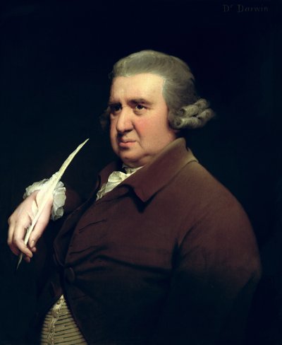 Tohtori Erasmus Darwinin (1731-1802) muotokuva, tiedemies, keksijä ja runoilija, Charles Darwinin isoisä tekijältä Joseph Wright of Derby