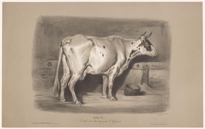 Lehmä tallissa Vache (otsikko esineessä) Eläintutkimukset kahdella liidulla (sarjan nimi) Etude aux deux värikynät par Z. Gengembre (sarjan nimi esineessä) tekijältä Joseph Zephyris Gengembre