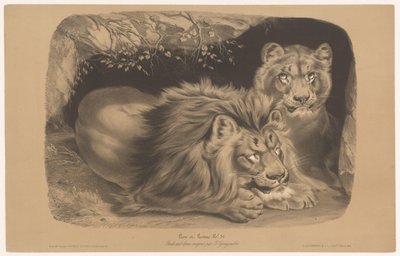 leijona ja leijona Lion et Lionne (otsikko esineessä) Eläintutkimukset kahdella liidulla (sarjan nimi) Etude aux deux värikynät par Z. Gengembre (sarjan nimi esineessä) tekijältä Joseph Zephyris Gengembre