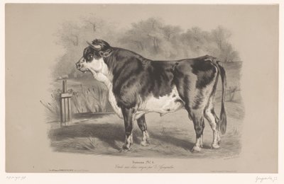 Stier in een weiland Taureau (title on object) Dierenstudies in twee soorten krijt (series title) Étude aux deux crayons par Z. Gengembre (series title on object)   1370397   fi       finnish Successfully Translated  Original: Joseph and Potiphars wife Tra tekijältä Joseph Zephyris Gengembre