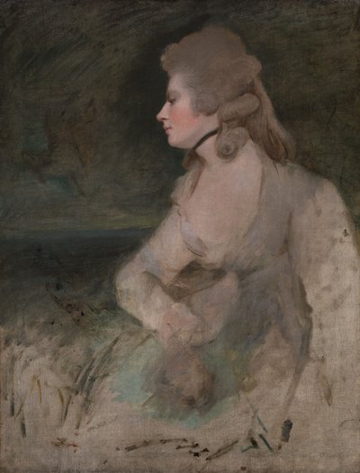 Rouva Robinson tekijältä Joshua Reynolds