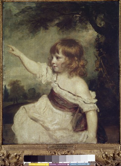 Mestari Hare (Francis George Hare (öljy kankaalle tekijältä Joshua Reynolds