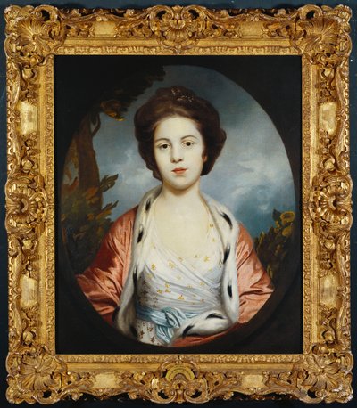 Muotokuva Estheristä, Lady Wray, yllään valkoinen mekko, kultainen ja vaaleanpunainen hermeliinivuorattu viitta, maisema takana tekijältä Joshua Reynolds