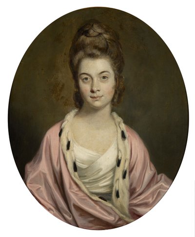 Rouva Thomas Watkinson Paylerin muotokuva tekijältä Joshua Reynolds
