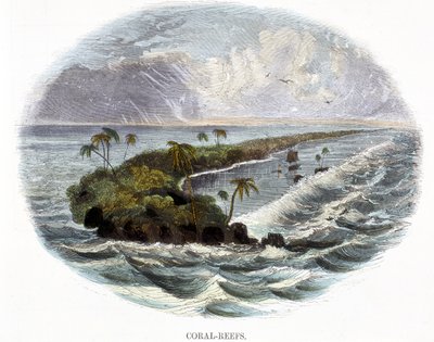 Koralliriutat, luonnonilmiöistä, 1849 tekijältä Josiah Wood Whymper