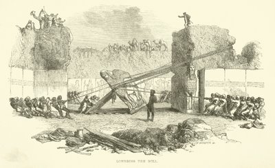 Härän laskeminen tekijältä Josiah Wood Whymper