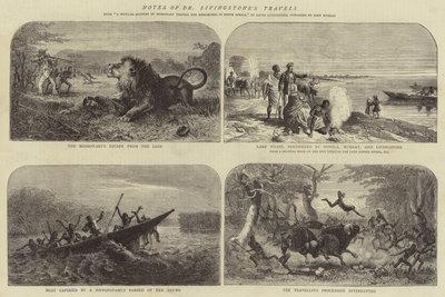 Muistiinpanot tohtori Livingstonen matkoista tekijältä Josiah Wood Whymper