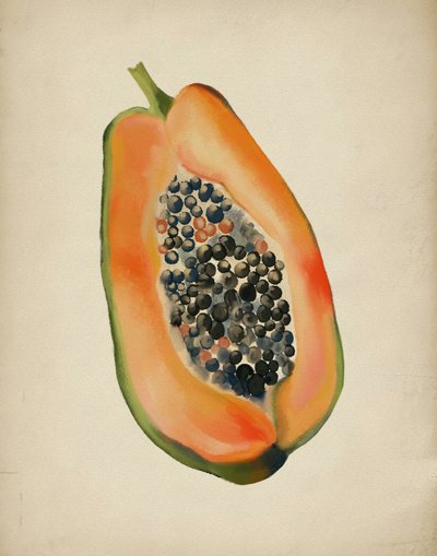 Värikäs papaya (puolikas) tekijältä Josie George