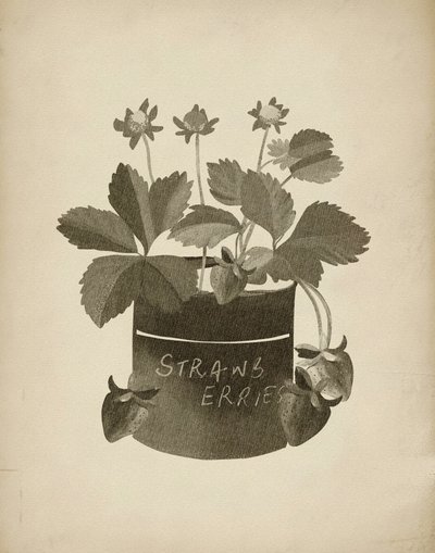 Vintage-tyylinen mansikkakuva tekijältä Josie George