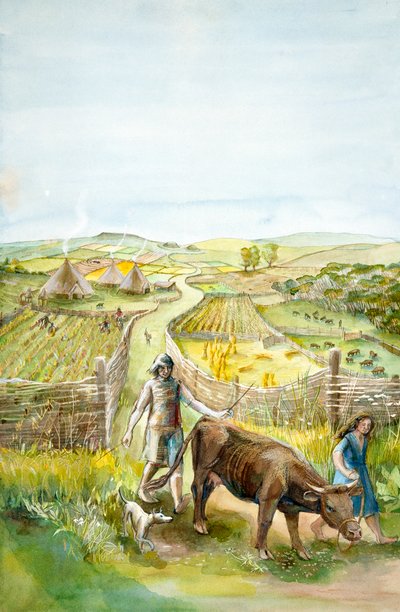 Maaseutumaisema, 2000eKr., c1990-2010 tekijältä Judith Dobie