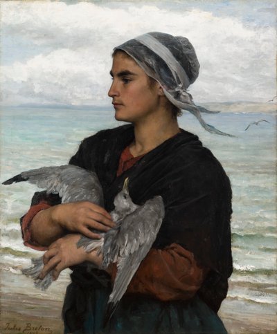 Haavoittunut lokki tekijältä Jules Breton