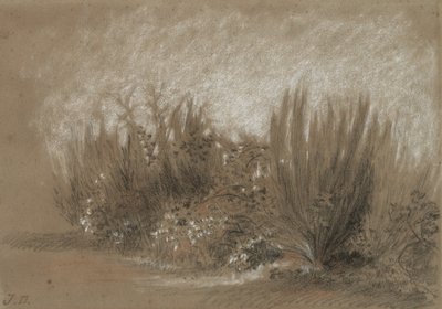Genets et Ronces (Broom ja Brambles) tekijältä Jules Dupré