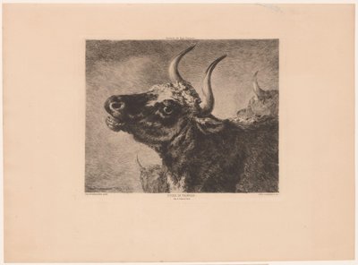 a tekijältä Jules Ferdinand Jacquemart