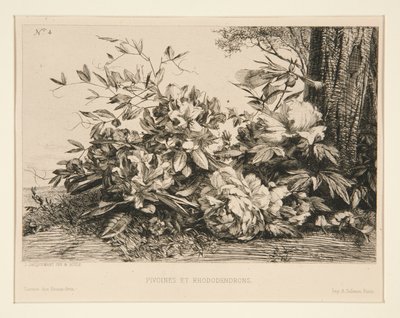 Pionit ja Rhododendronit tekijältä Jules Ferdinand Jacquemart