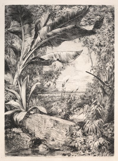 Kasvihuoneen kasvit, 1872. tekijältä Jules Ferdinand Jacquemart