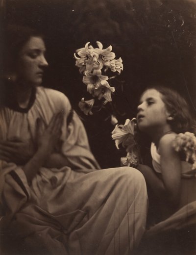 Tutkimus, 1865-66. tekijältä Julia Margaret Cameron