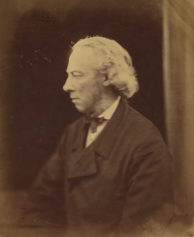 Aubrey deVere, 1866-68. tekijältä Julia Margaret Cameron
