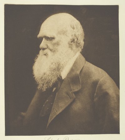 Charles darwin tekijältä Julia Margaret Cameron