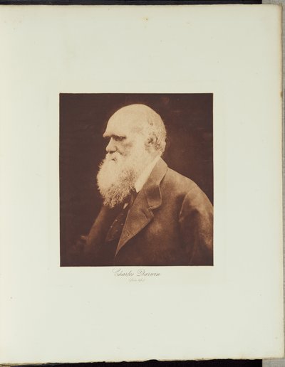  tekijältä Julia Margaret Cameron