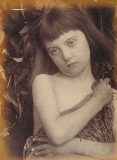 Firenze / Pyhän Johannes Kastajan tutkimus tekijältä Julia Margaret Cameron