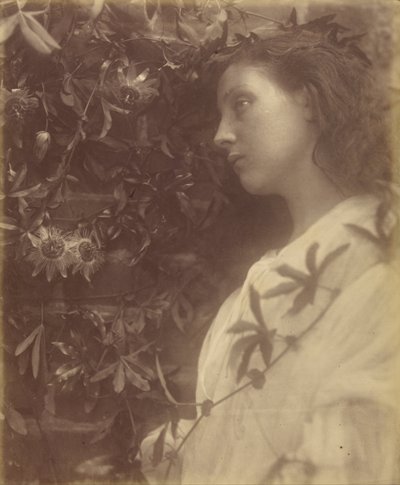 Maud "Portilla olevasta intohimokukasta on pudonnut upea kyynel" - tekijältä Julia Margaret Cameron
