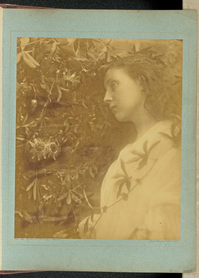  tekijältä Julia Margaret Cameron