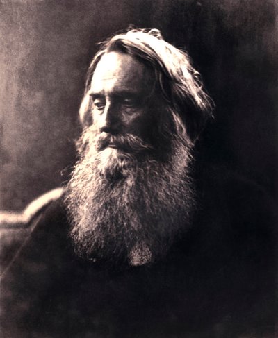 Sir Henry Taylor, 1800-luvun englantilainen näytelmäkirjailija. tekijältä Julia Margaret Cameron