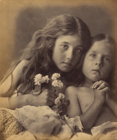 Punaiset ja valkoiset ruusut tekijältä Julia Margaret Cameron