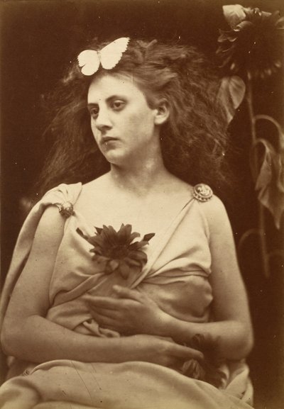 Auringonkukka tekijältä Julia Margaret Cameron