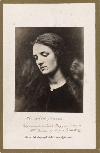 Villi Kukka tekijältä Julia Margaret Cameron