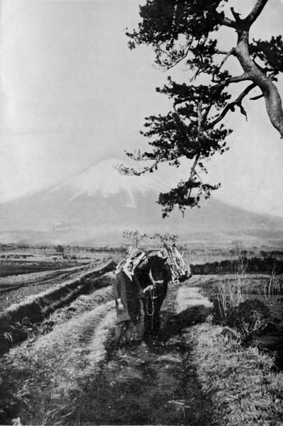 Fujin alueen talonpojat eivät nimeltä, vaan vain Oi Yama, kunniallinen vuori, vuosi 1900, tekijältä Julian Leonard Street