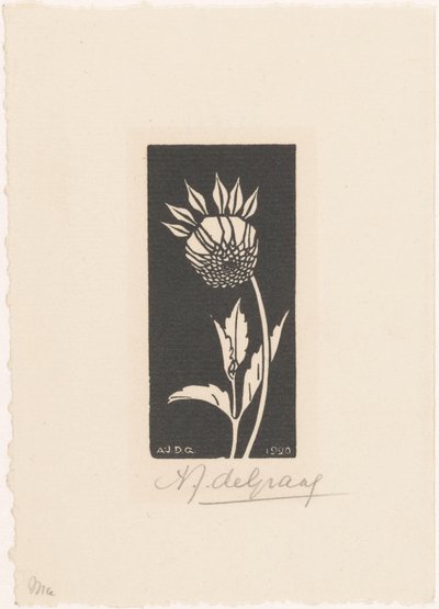 Dahlia tekijältä Julie de Graag (signed by artist)