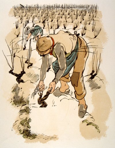 Humoristinen viinikuvitus 1946. Kuvitus Julien Pavil tekijältä Julien Pavil