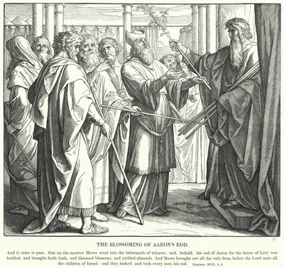 Aaronin sauvan kukinta (kaiverrus) tekijältä Julius (after) Schnorr von Carolsfeld