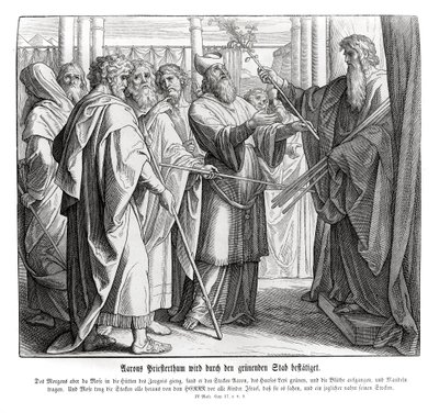 Aaronin pappeus on vahvistettu, Numbers tekijältä Julius Schnorr von Carolsfeld