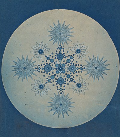 [Piilevien karvat], n. 1870. tekijältä Julius Wiesner.