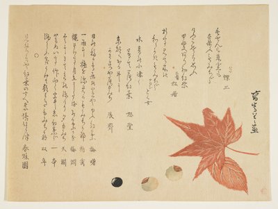 Syksyn lehdet ja pähkinät, 1849-76 (värillinen puupainatus) tekijältä K II Skoku