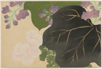 Sadan maailman kukat (Momoyogusa): Chrysanthemum ja Paulownia (Kikukiri) tekijältä Kamisaka Sekka